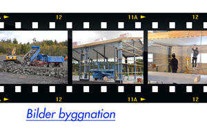 Plants: bild 1 av 15 thumb